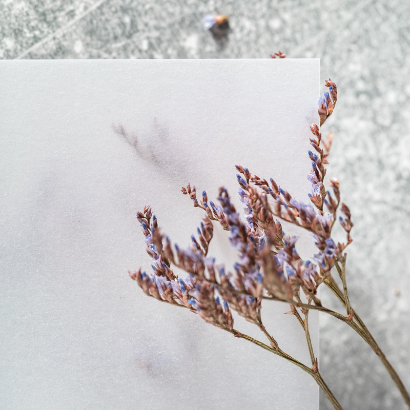 Transparentpapier mit Trockenblume 